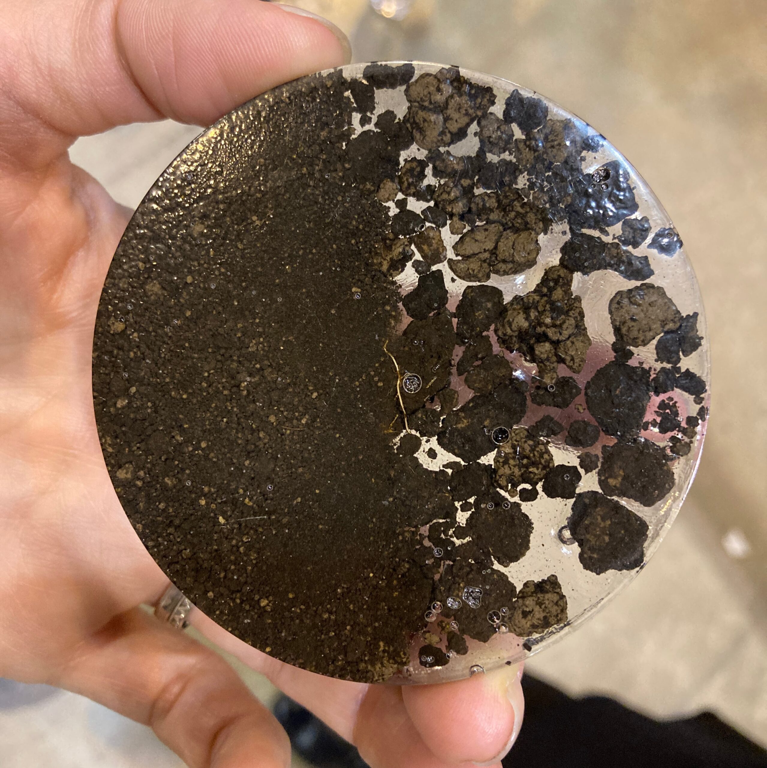 A soil resin cross-section showing contrasting structures: one side dense, the other loose and aggregated.