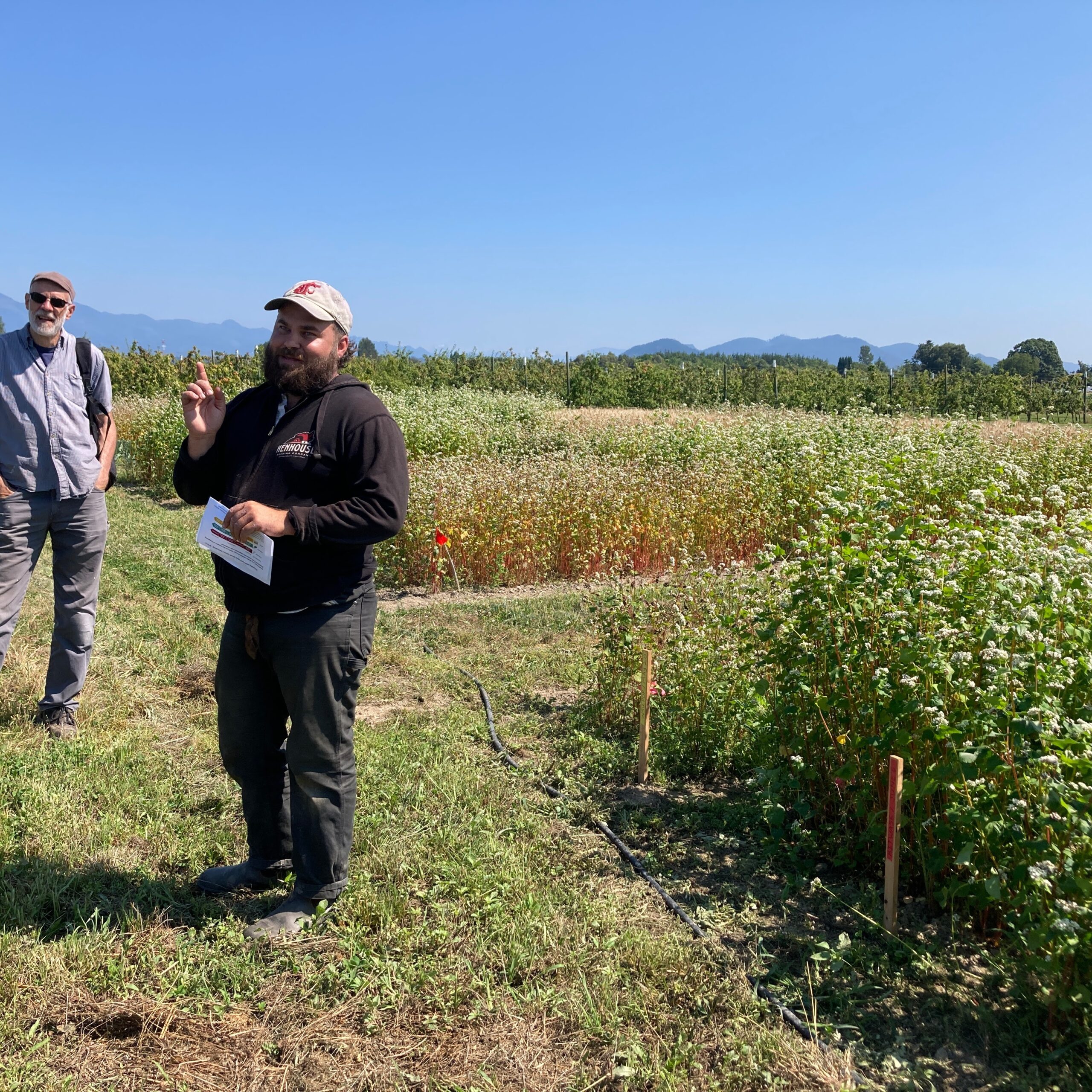 Evan Domsic standing in a field next to research plots of flowering buckwheat.