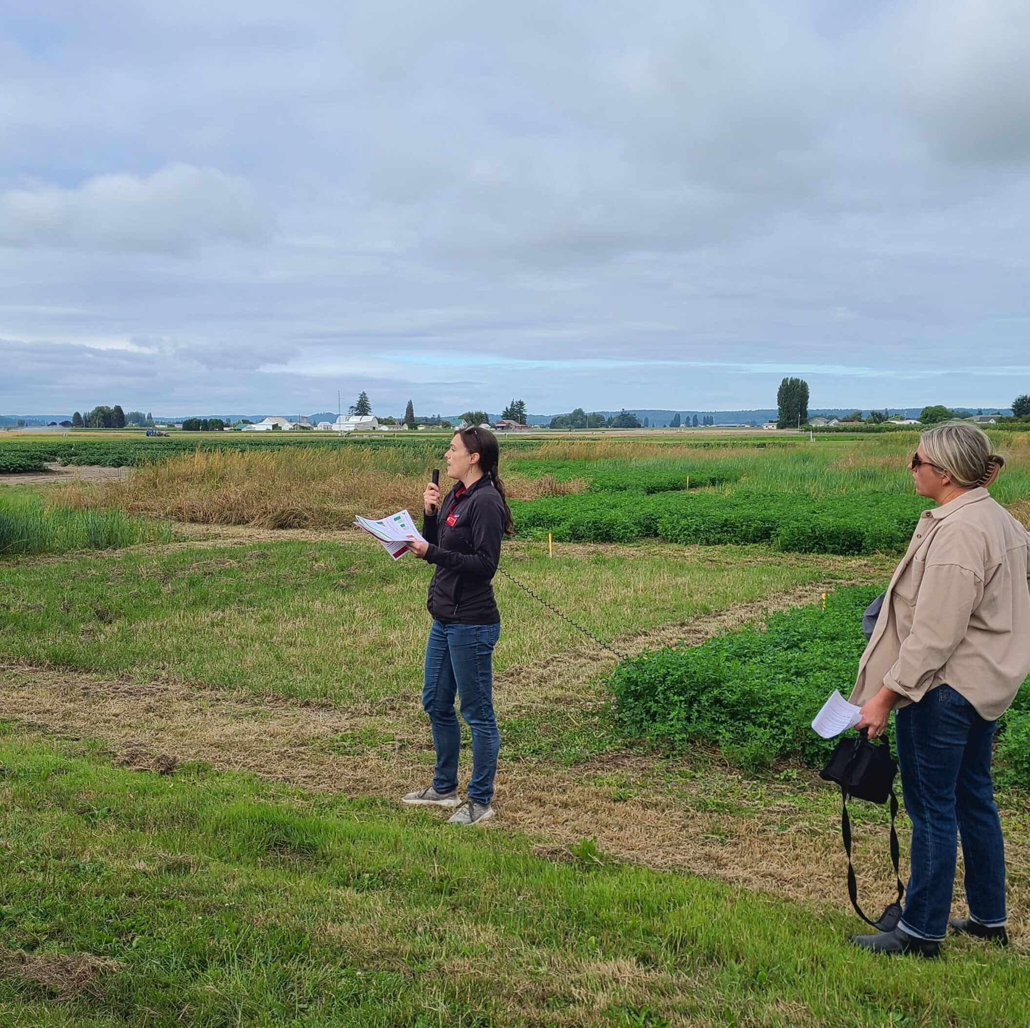 Deirdre Griffin LaHue standing in front of field plots with a microphone, presenting at a field day.