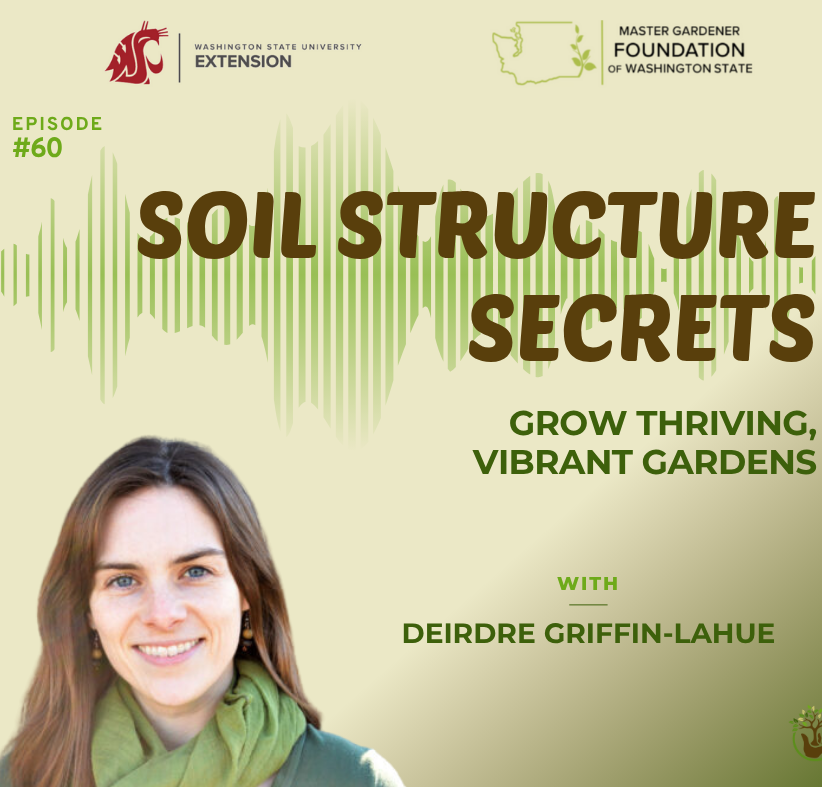 Infographic advertising the podcast episode, with Deirdre's headshot, the name of the episode (Episode #60, Soil Structure Secrets: Grow Thriving, Vibrant Gardens) and sponsorship icons (Washington State University Extension and the Master Gardener Foundation of Washington State).