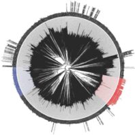 UGT phylogeny tree, or a diagram the illustrates the evolutionary history and relationships between different groups of organisms.