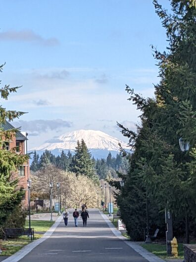A view of Mt. Baker from a distance.