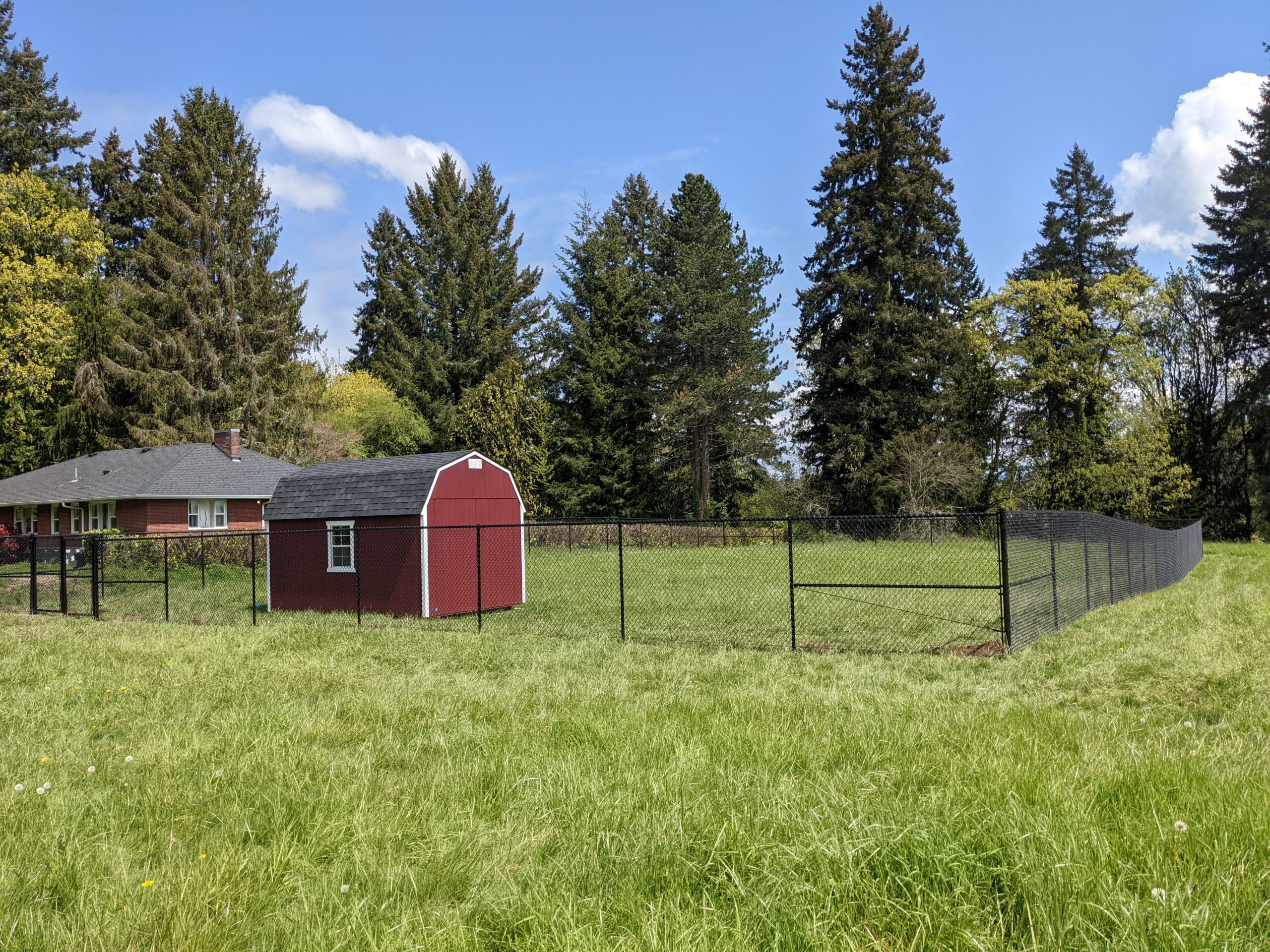 A small shed in a fenced yard.