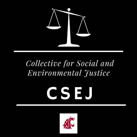 Collective for Social and Environmental Justice. CSEJ logo