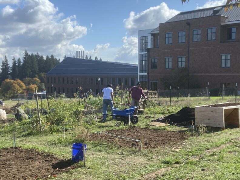 Students planting and weeding during a recent workday in the garden. 
