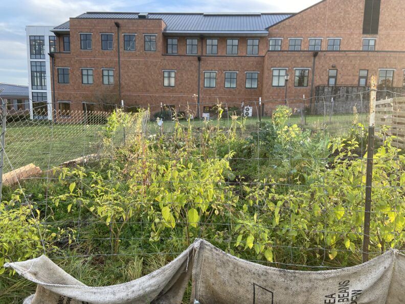 Photo facing the Clark College Building.