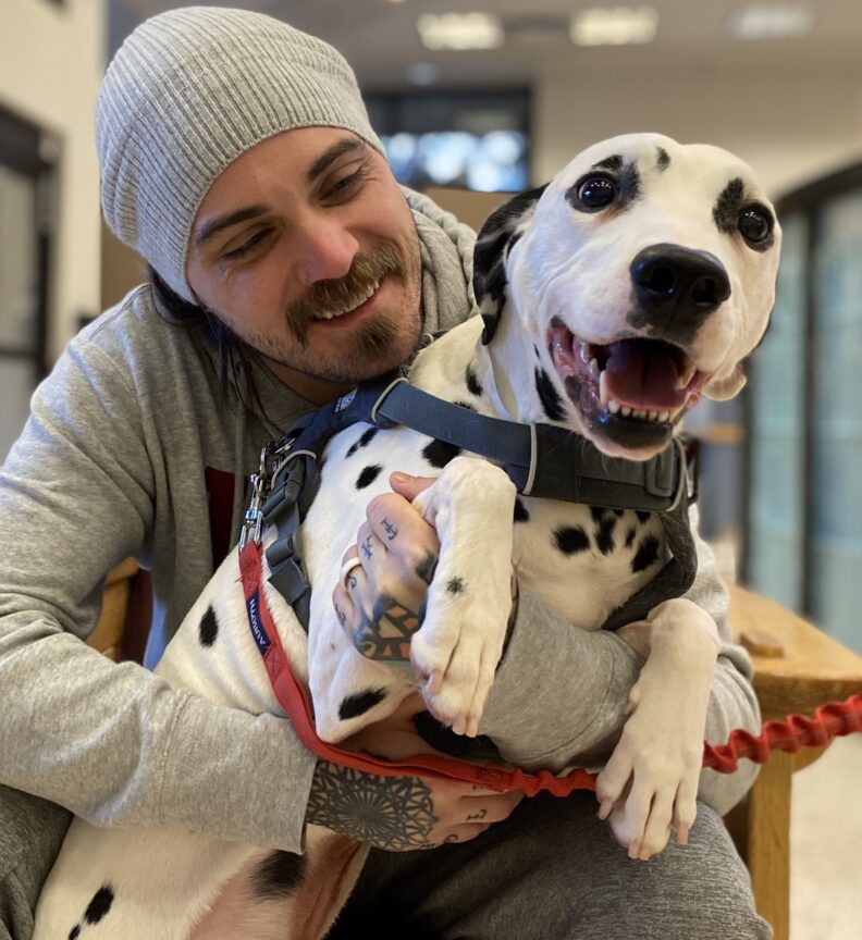 Uhtred, a very excited Dalmatian.