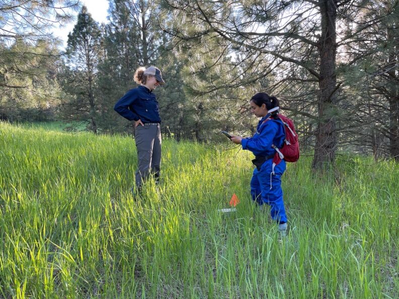 Catherine and Pilar standing in tall grass  with evergreen trees surrounding them.