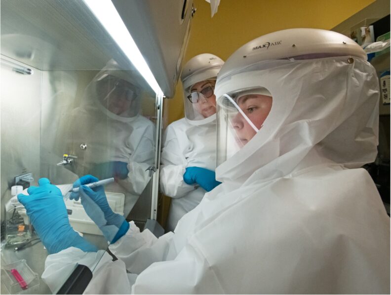 two researchers wear white powered air purifying respirators, white wrap around gowns, white Tyvek suits, blue nitrile gloves, and work with molecular reagents in a biosafety cabinet