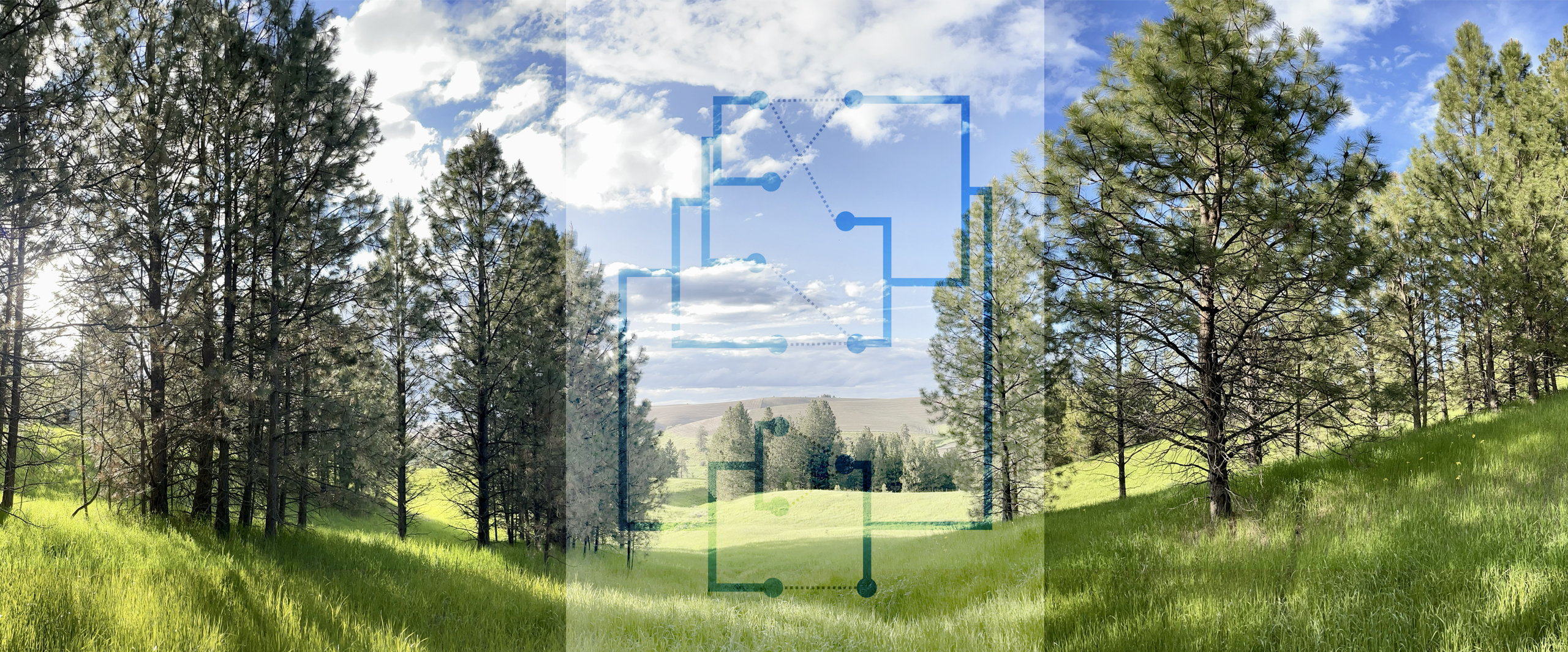 Local field site with lab logo in the center.