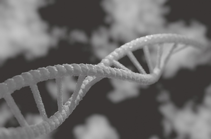 Artistic illustration of genetics by https://pixabay.com/photos/dna-3d-biology-genetic-research-5378928/ on Pixabay.