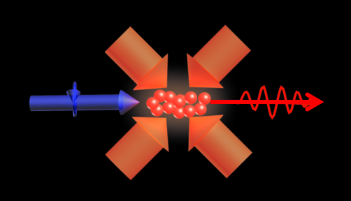 Please see accompanying text for description.