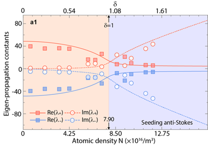 Please see accompanying text for description.