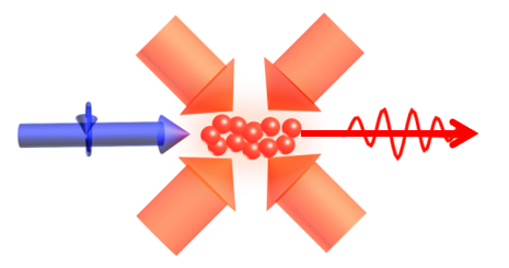 Please see accompanying text for description.