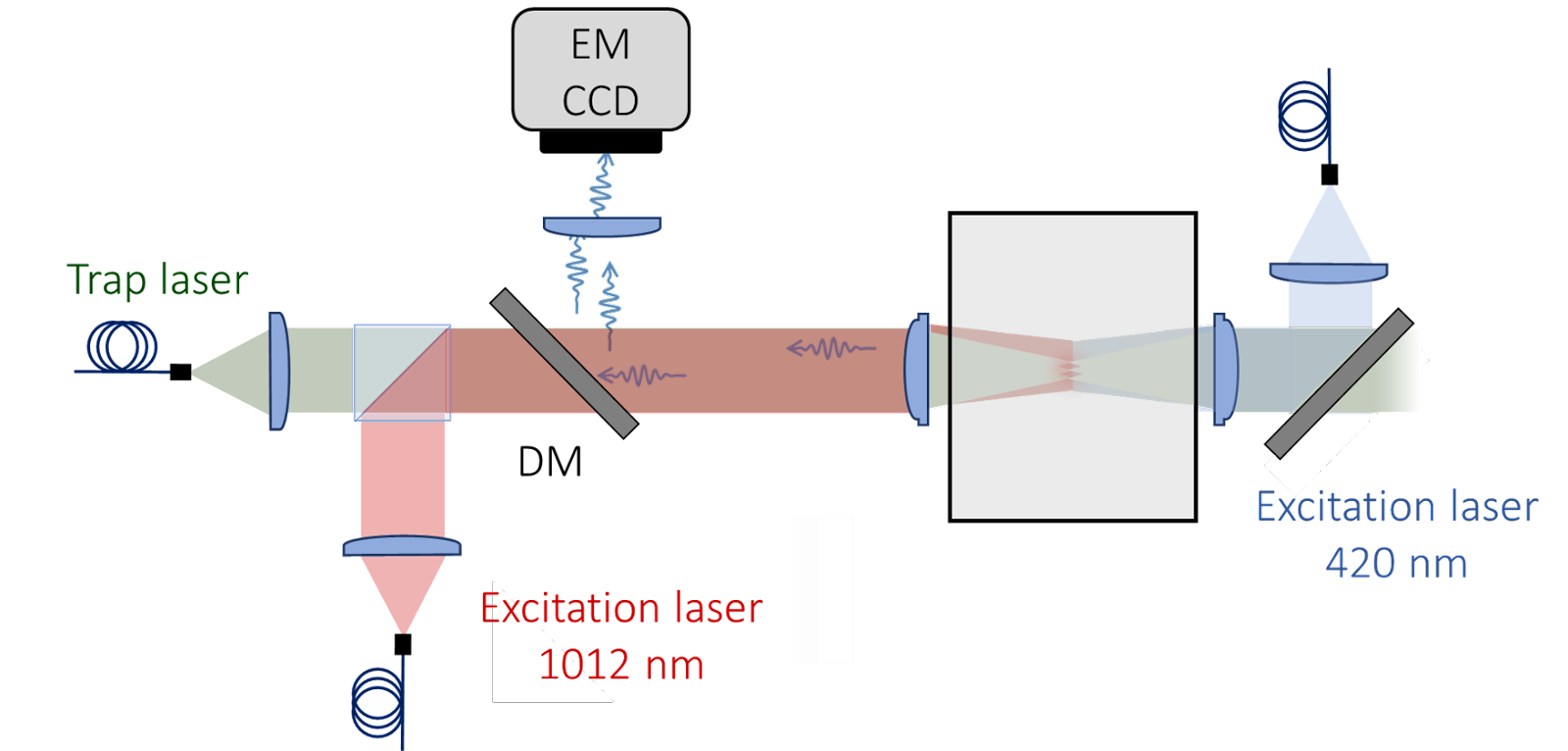 Please see accompanying text for description.