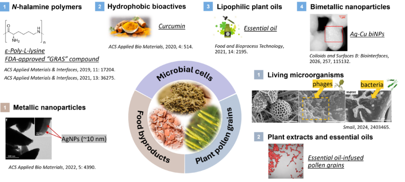 Biomaterials and biointerface engineering diagram showing food byproducts, plant pollen grains, microbial cells, antimicrobial materials, and microscopic interactions with phages and bacteria.