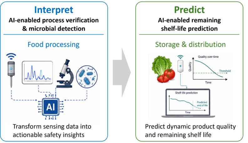 Diagram showing AI-enabled interpretation during food processing and prediction during storage and distribution.
