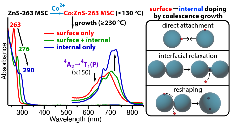 Multiple panel graphics showing absorption spectra of Co2+ being converted from surface-bound to internally-doped.