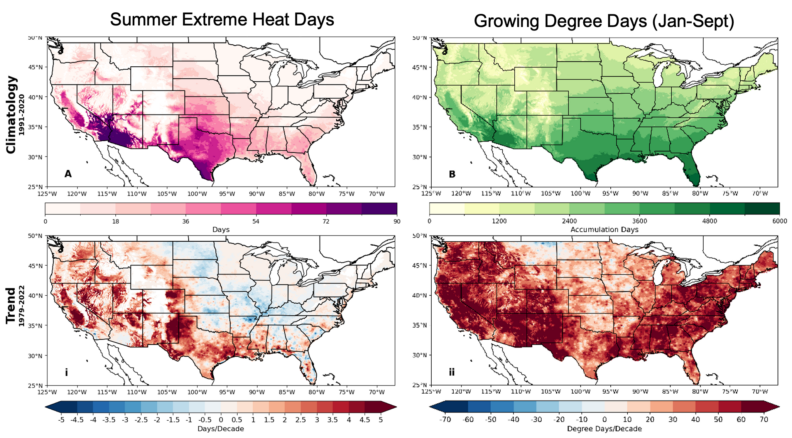 Climatology and historical trends in two metrics - extreme heat days and growing degree days - that affect apple production. Image links to larger version.