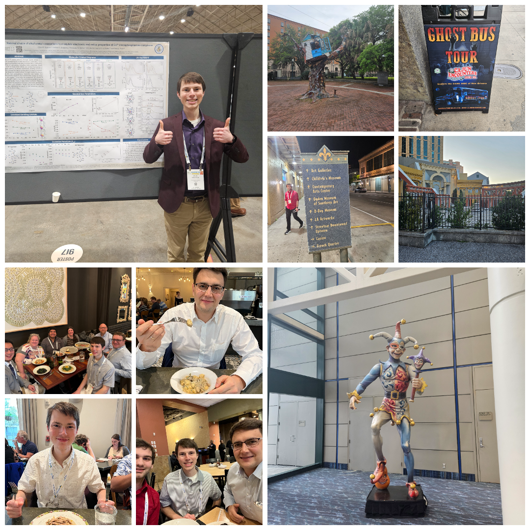 Collage of ACS Spring 2024 in New Orleans . Top left: Chad in front of his poster. Top right: four pictures showing artwork. Bottom left: four pictures showing restaurants. Bottom right: A statue of a jester in the convention hall.