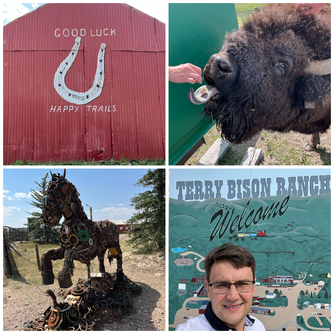 Collage of Dr. Popov at the International Conference of Coordination Chemistry