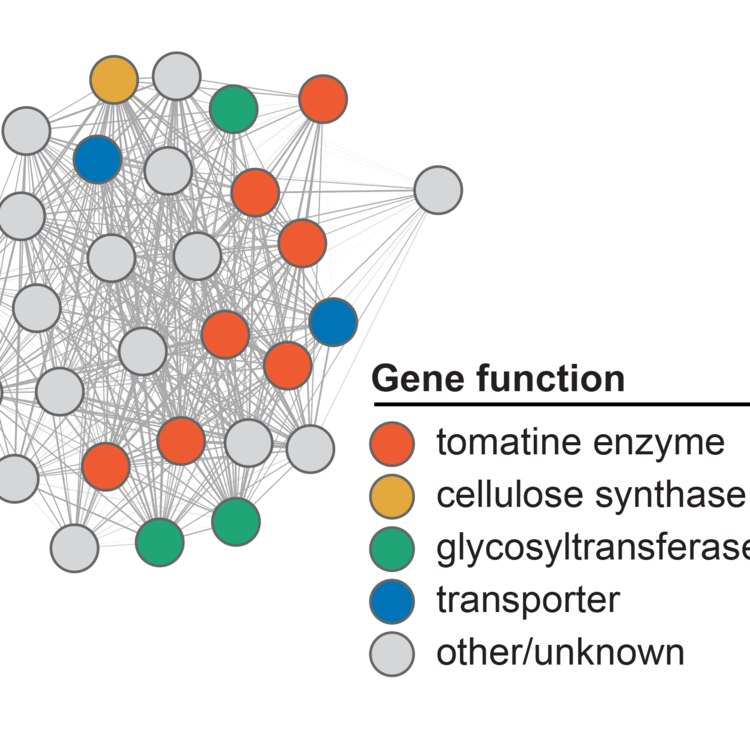 network showing cluster of coexpressed genes