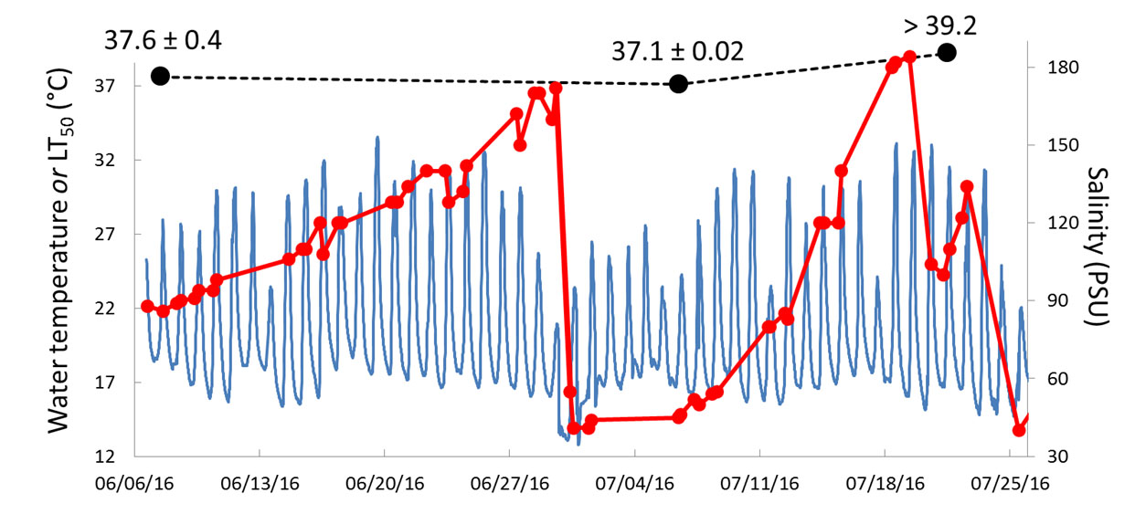 Plot of salinity, temperature, and lethal temperature 50% over time in a single splashpool. 