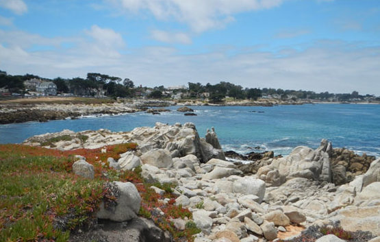 Panoramic view of rocky intertidal field site in Pacific Grove, California