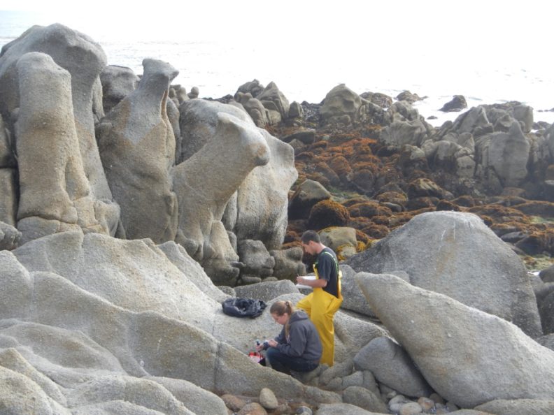 Students monitoring splashpool conditions at field site