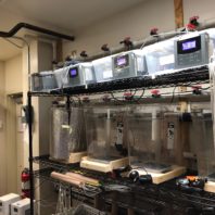 Laboratory environmental manipulation system. 