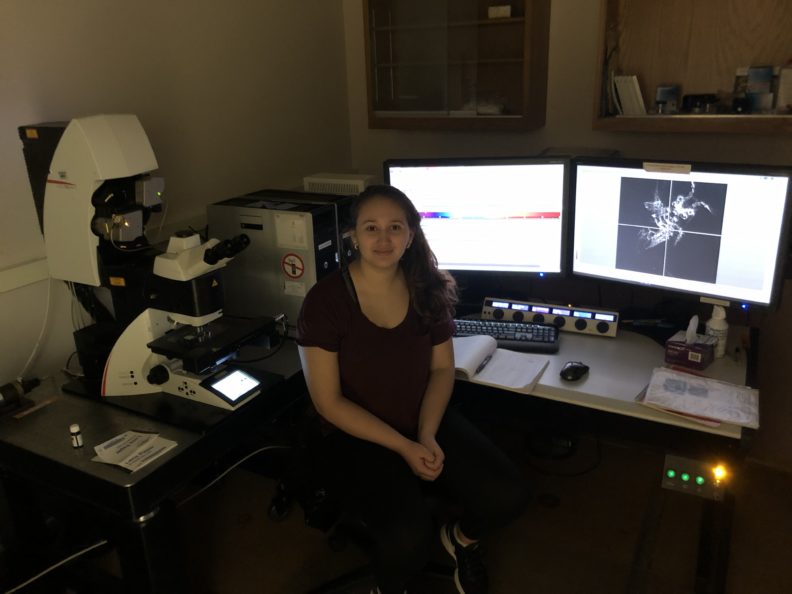 Student with confocal microscope