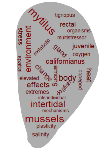Mussel-shaped word cloud with keywords from publications
