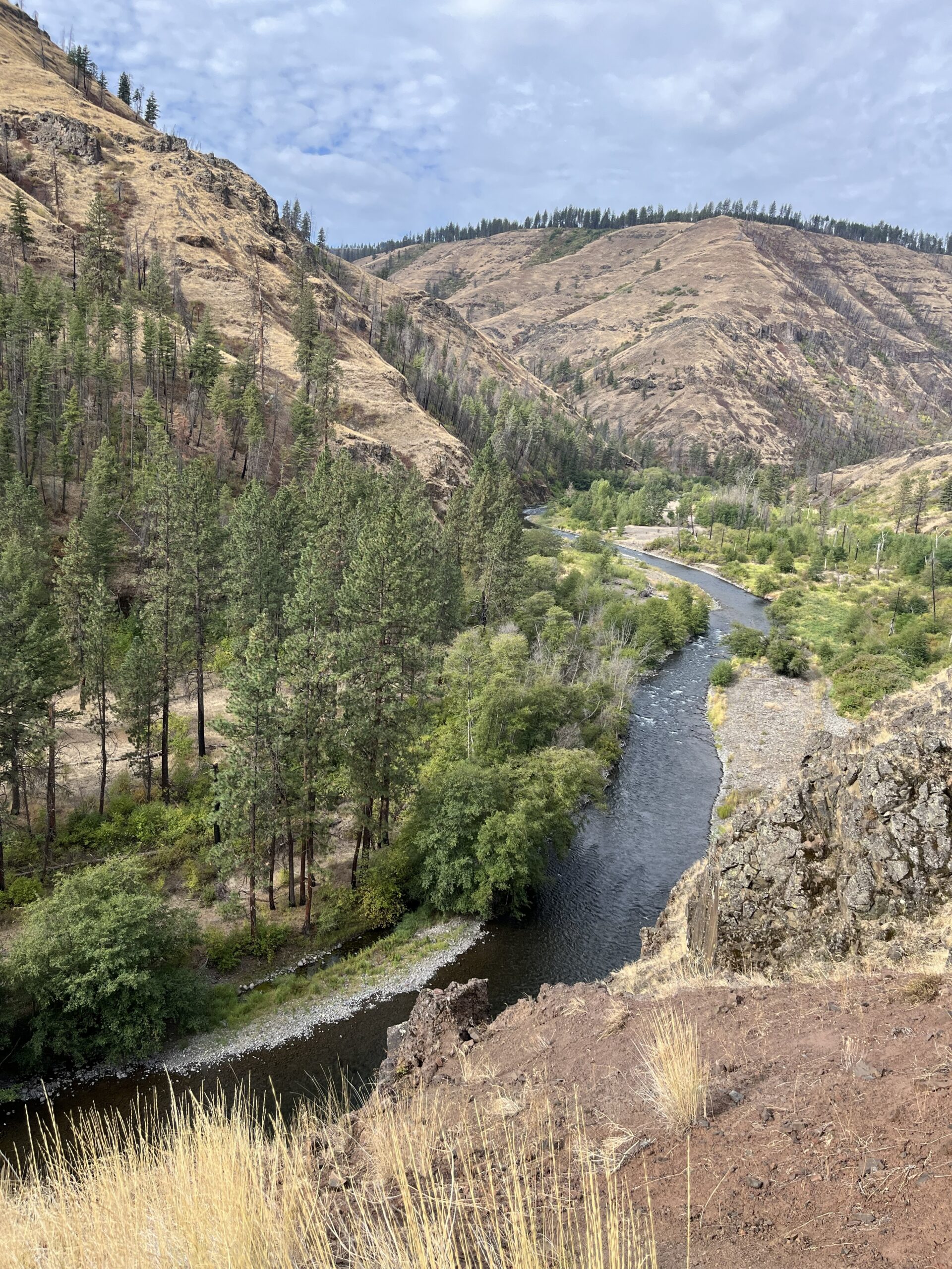 photograph of a river canyon with trees