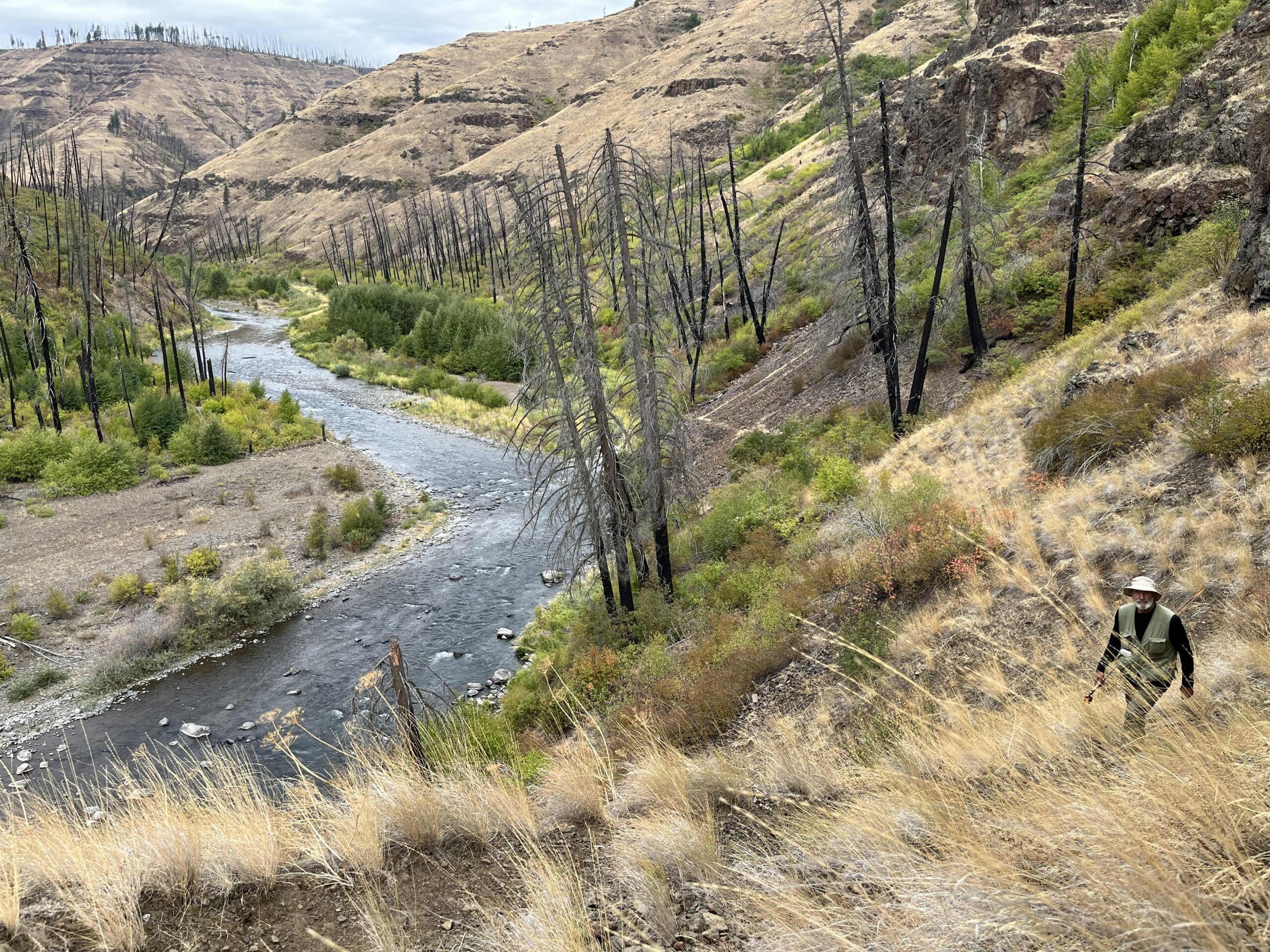 photograph of an older man walking up a trail along a river canyon