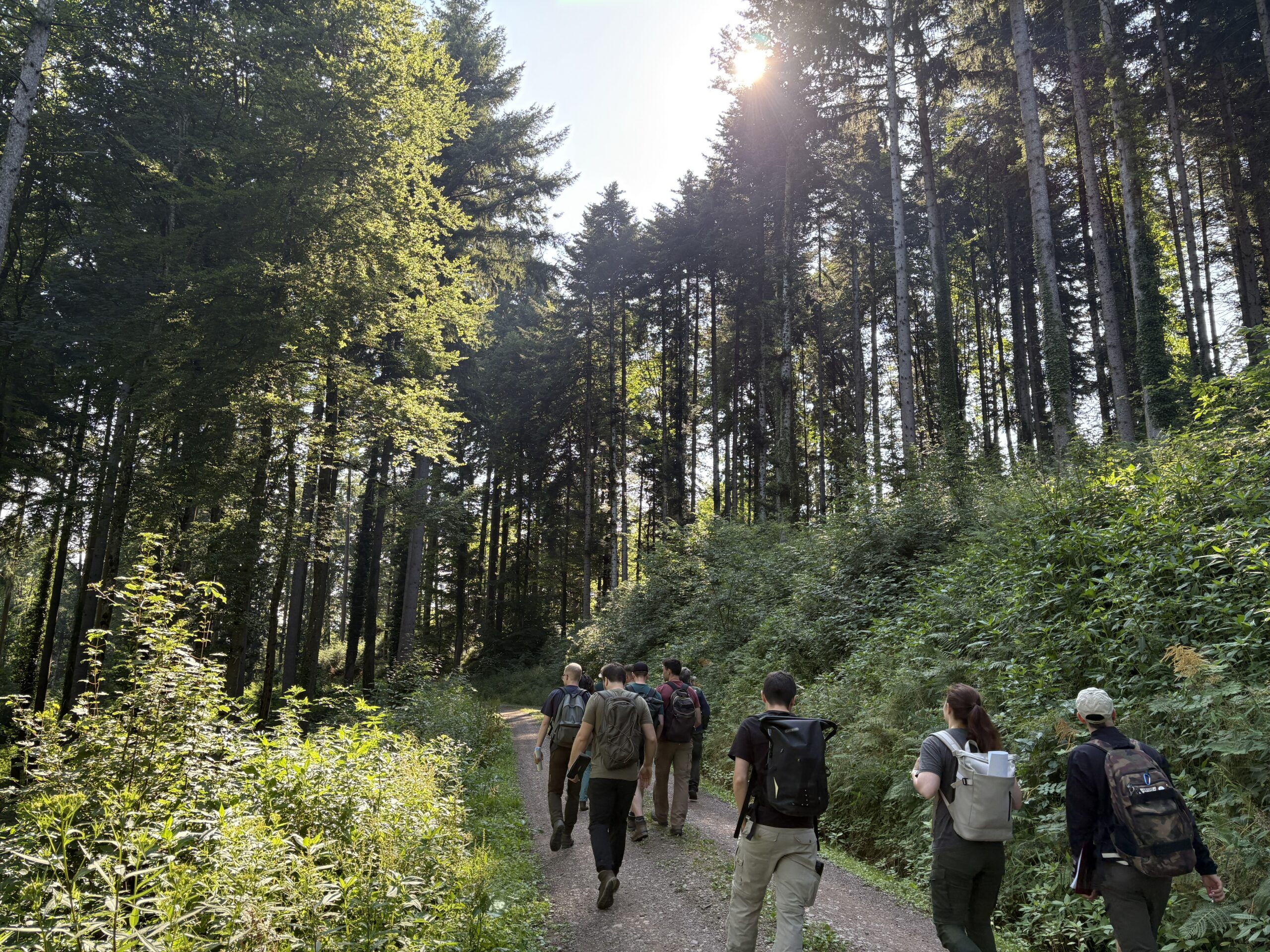 photograph of a class walking down a dirt road in a forest