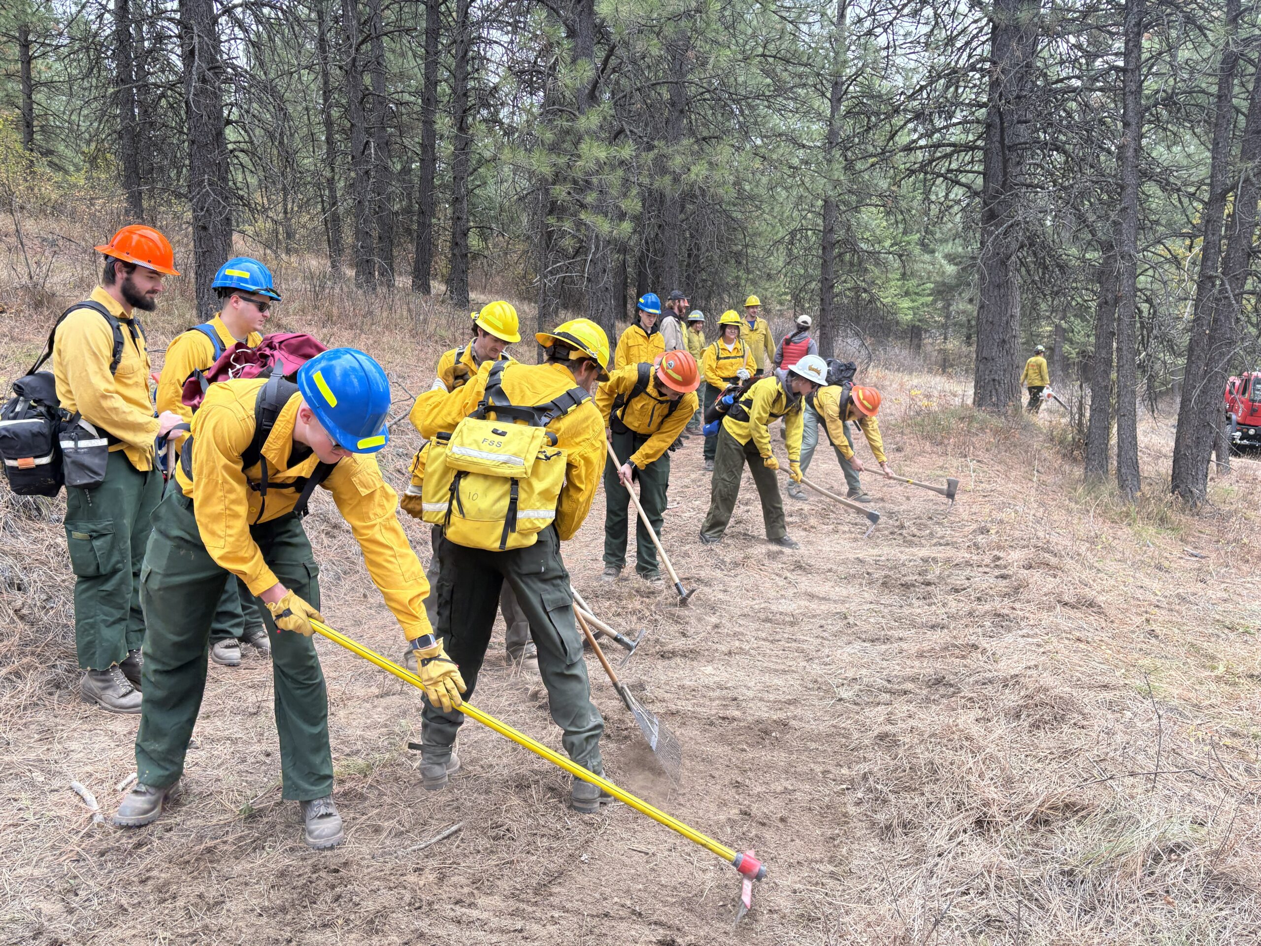 photograph of a wildland fire crew digging hand line
