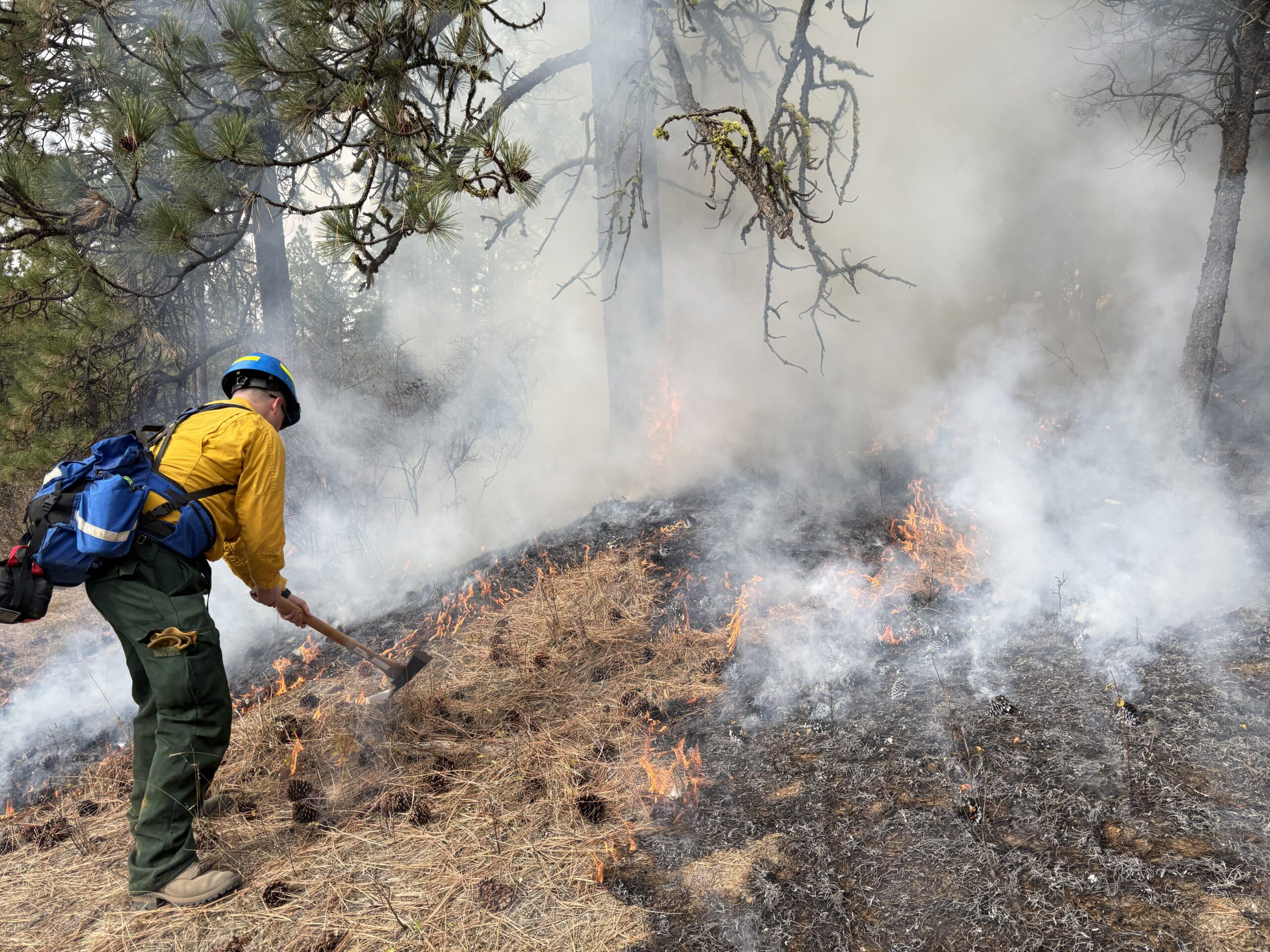 photograph of wildland fire fighter fighting a forest fire with a polaski