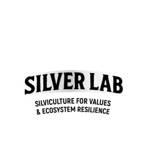 SILVER lab logo white and transparent