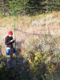 A researcher working at a mist net in a forest clearing