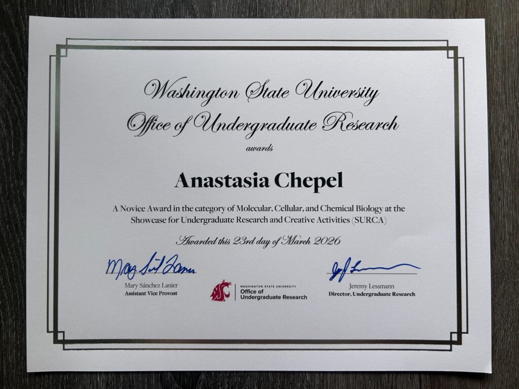 A photo of the Novice Award of Anastasia Chepel at SURCA 2026