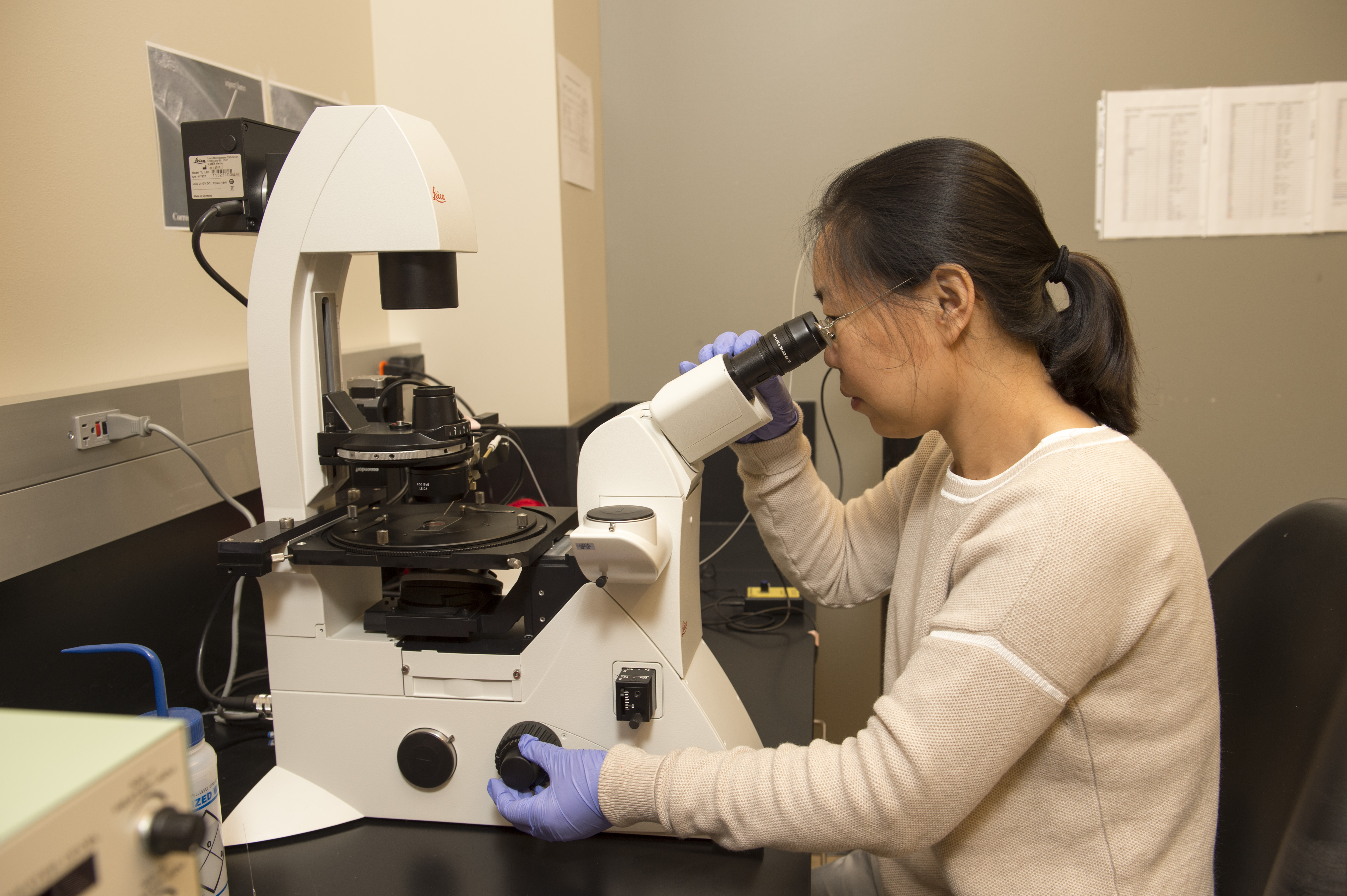 Dr. Sun looking through a microscope.