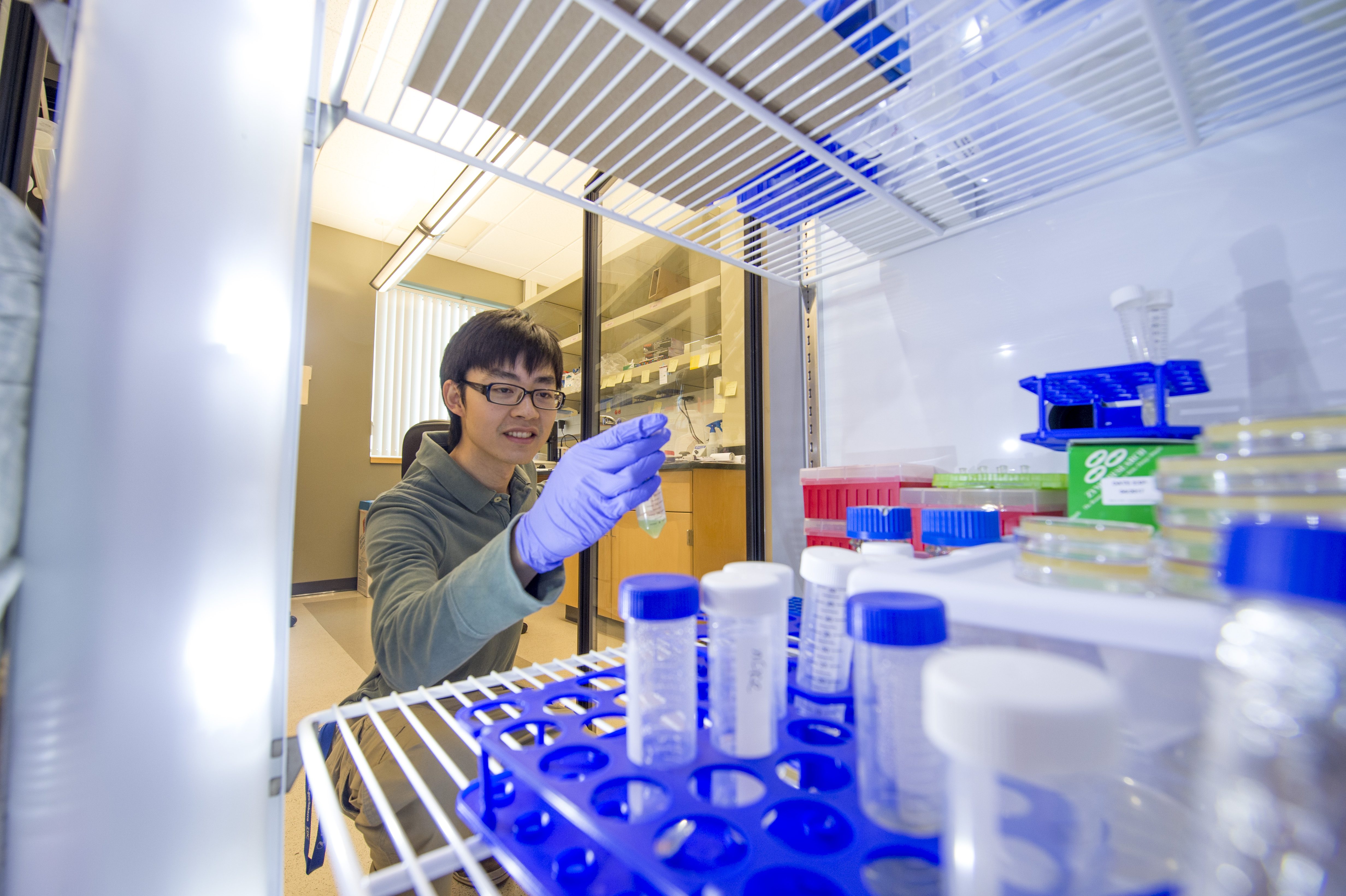 Researcher putting a test tube into a refrigerator with other samples.