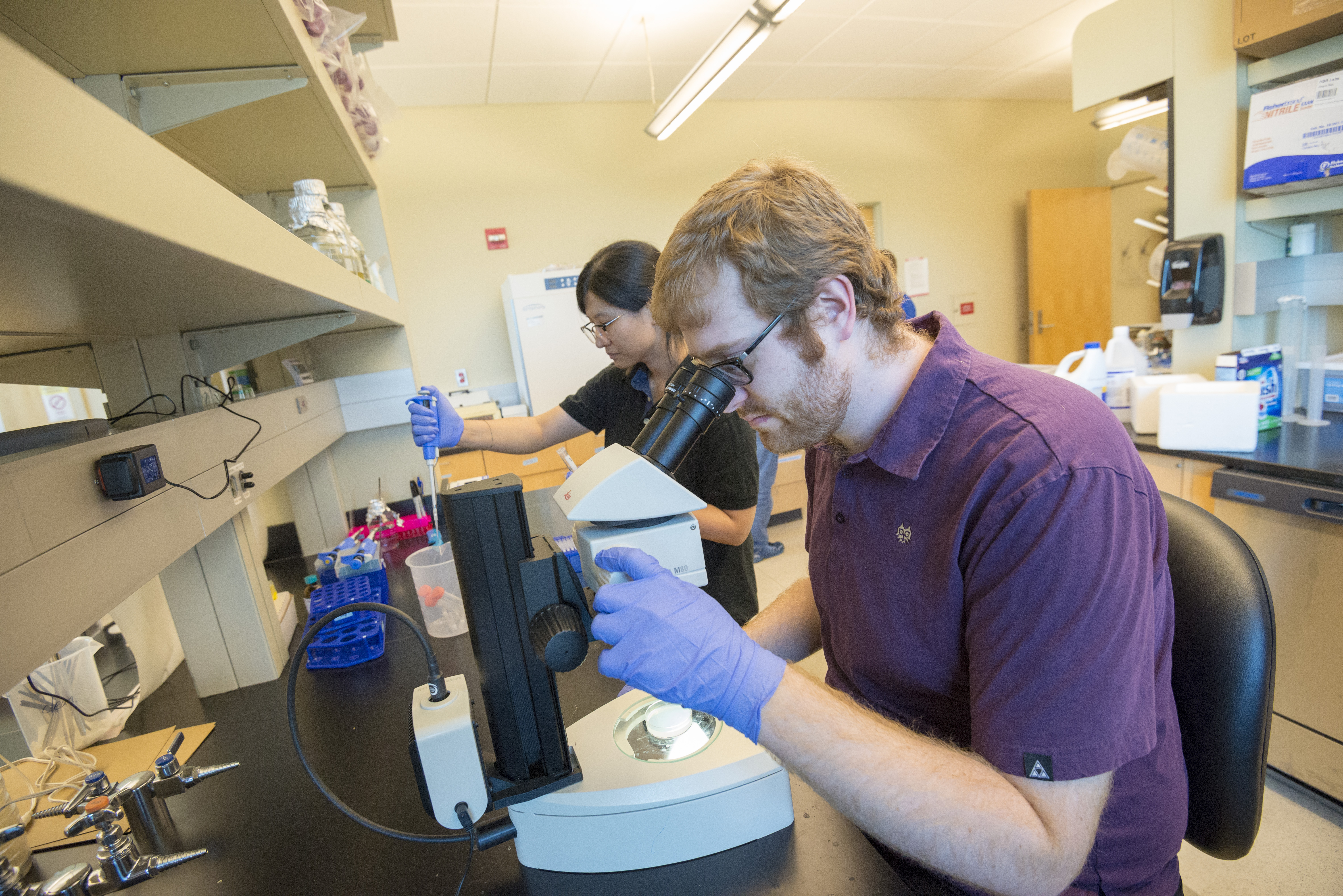Two researchers working in the Sun Lab, one looking through a microscope and the other putting samples into a test tube.