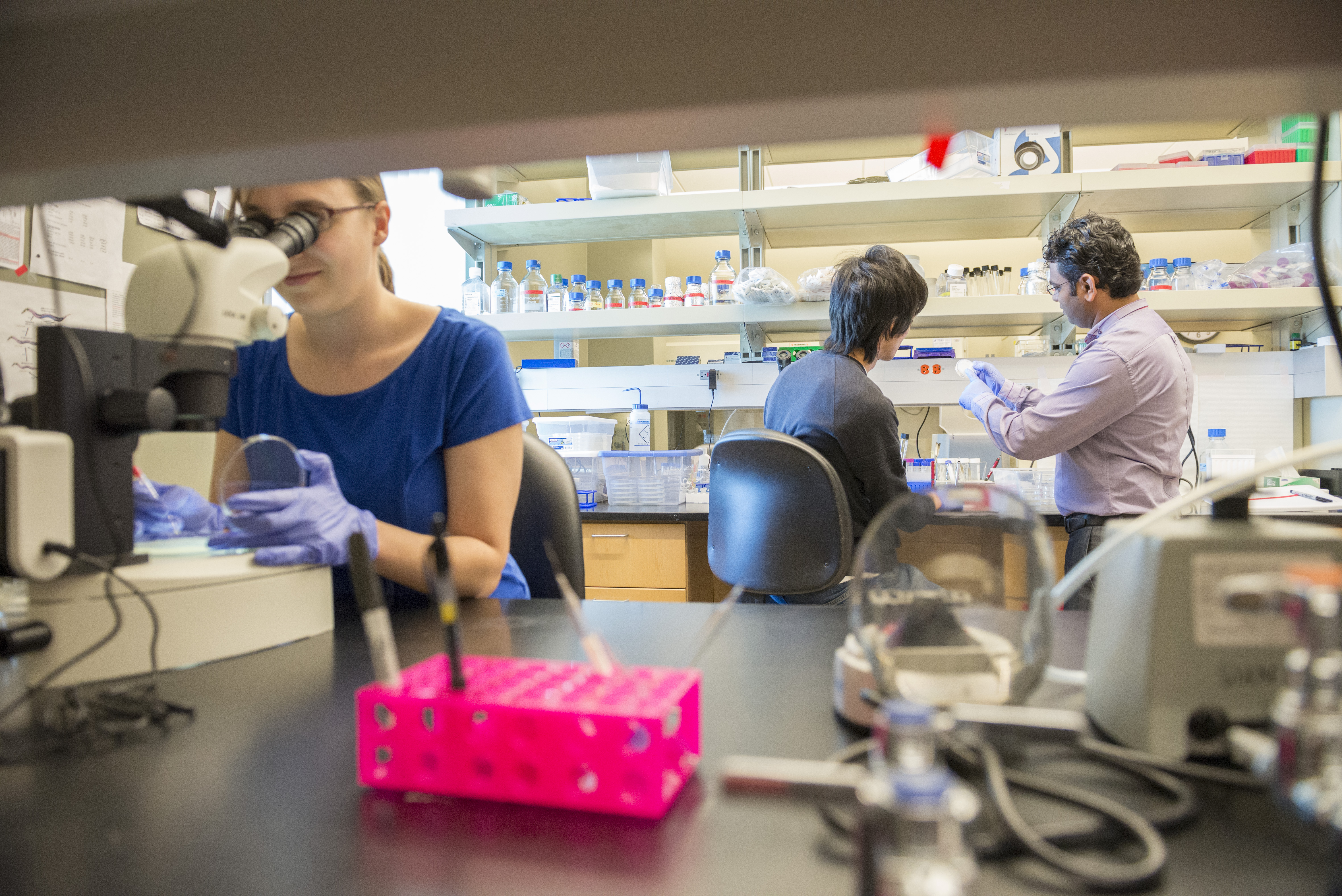 Three Researchers working in the Sun lab.