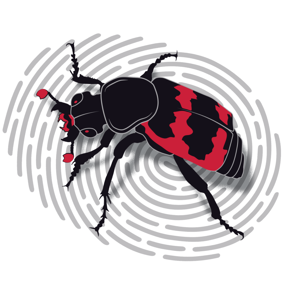 Graphic of a beetle on a fingerprint.