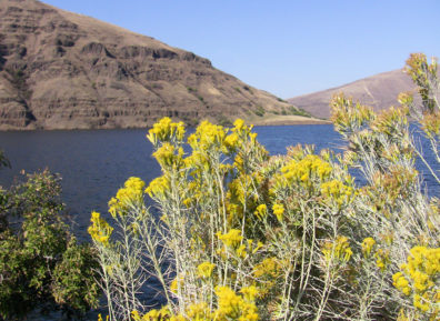 IMG_3086_photoshopped