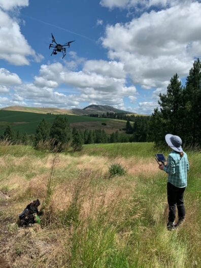 Amanda Stahl flying a drone at the Hudson Biological Reserve.