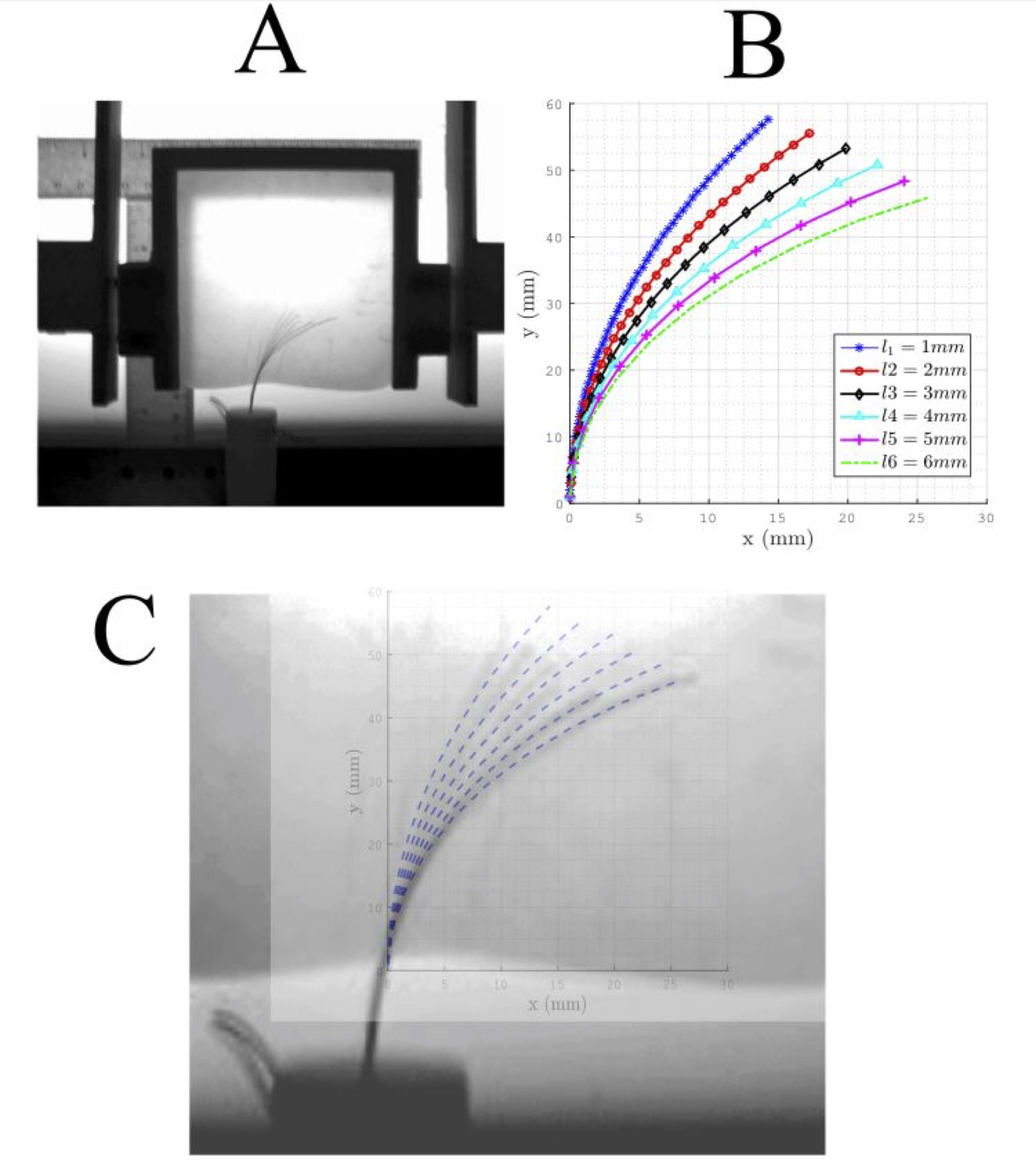fracture-directed-steerable-needles-model-experiment