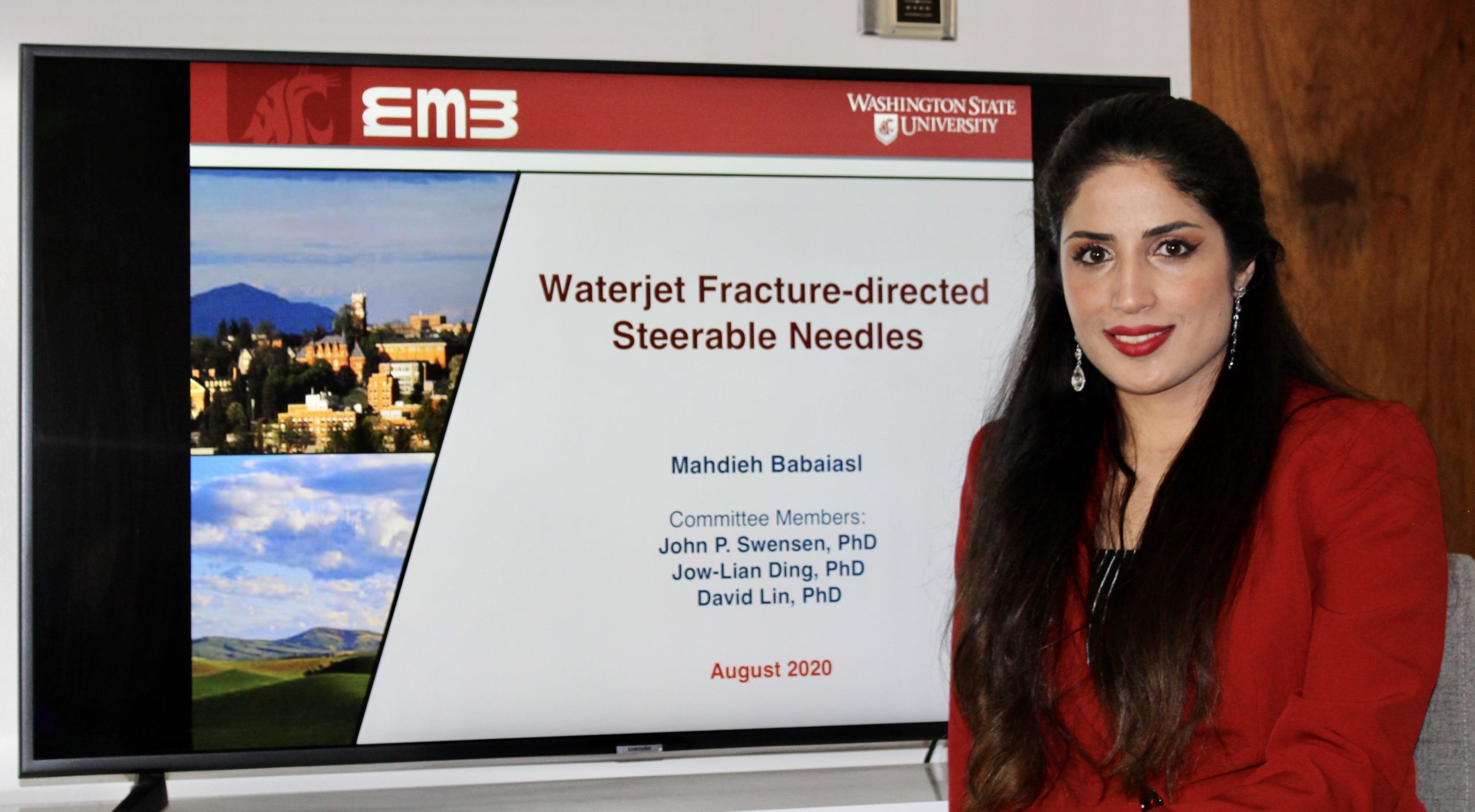 mahdieh babaiasl defence