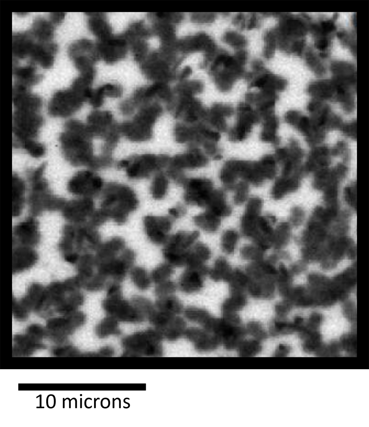 Materials and Applications | Carbon Lab | Washington State University